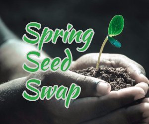 Spring Seed Swap